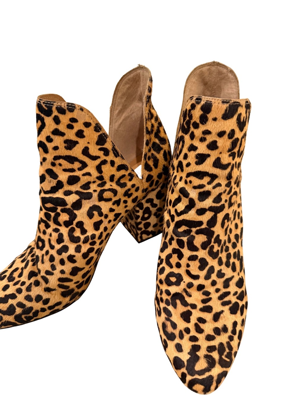 Steve Madden Leopard Print Ankle Booties - Tan & Black